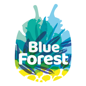 logo BlueForest DotVision
